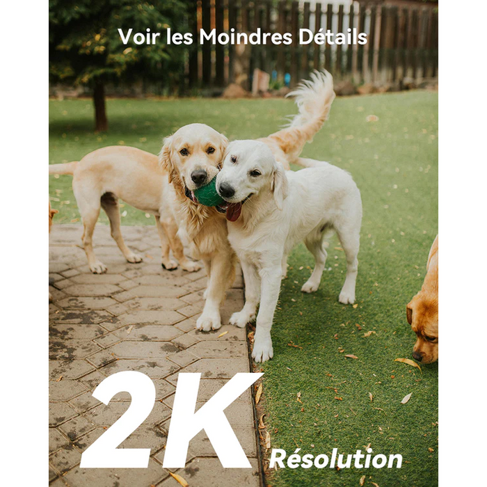 Imou - Caméra solaire Wifi Cell PT 3MP 360°