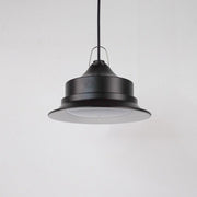 Cloche solaire 30W avec télécommande