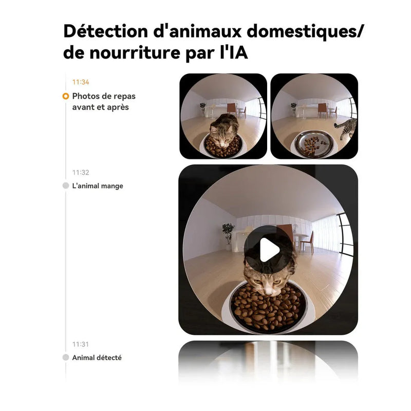 Caméra + Distributeur automatique de nourriture pour chat et chien