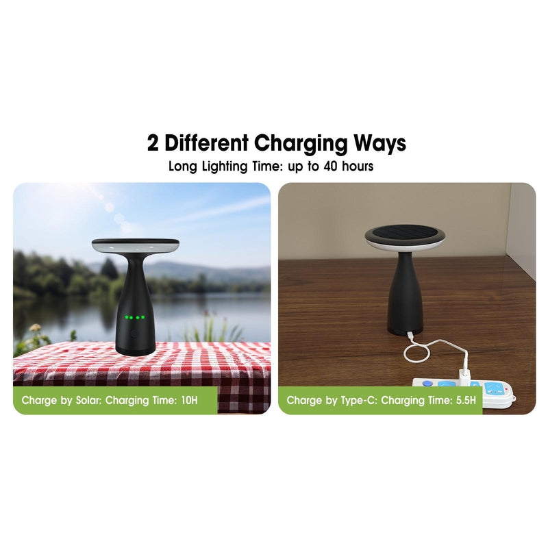 Lampe de table solaire noir
