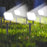 Lot de 4 Spots LED solaires 400lm pour jardin, étanche IP65