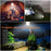 Projecteur solaire 350lm rechargeable et portable tout-en-un