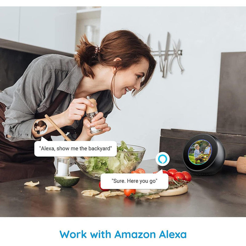 Reolink Argus PT Lite - Caméra solaire Wifi 3MP 360° - Détection intelligente