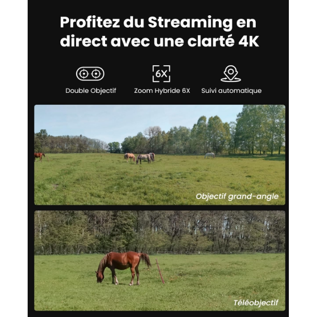 Reolink TrackMix LTE Camouflage - Caméra solaire 4K 8MP, double objectif 360° - Suivi de mouvement et zoom automatique