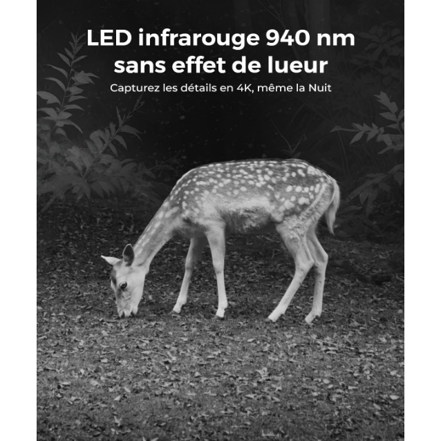 Reolink TrackMix LTE Camouflage - Caméra solaire 4K 8MP, double objectif 360° - Suivi de mouvement et zoom automatique