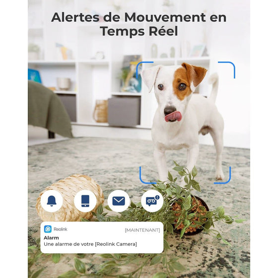 Reolink E1 - Caméra WiFi Intérieure 360° 3MP - Détection humains/animaux