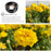 APEXEL APL-HB100mm Objectif Macro Universel pour Smartphone 4K HD Objectif de caméra pour téléphone sans Distorsion Arrière-Plan Flou Compatible avec iPhone 11 / XS/XS Max/XR/X / 8/8 Plus